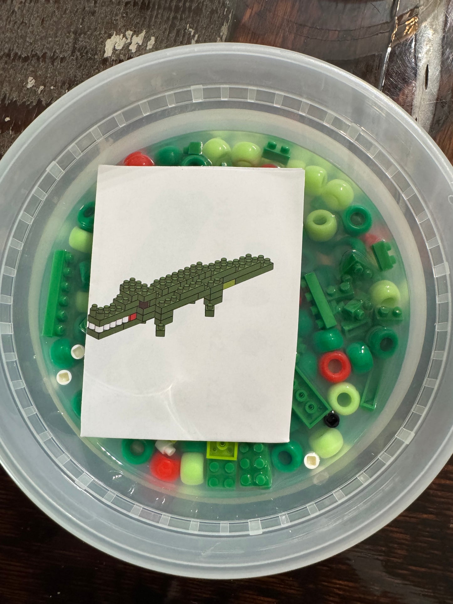 ALLIGATOR
